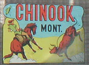 Rare Vintage Travel Decal from Chinook Montana showing cowgirl roping a steer