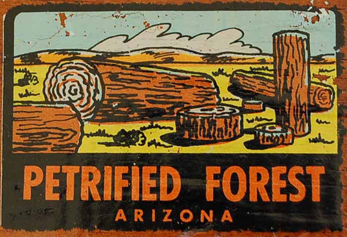 Vintage Travel Decal from the Petrified Forest in Ariona